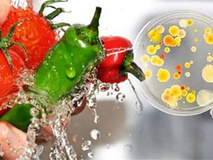 Талые воды опасны. Какую заразу принесет в Ульяновскую область половодье