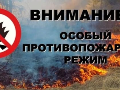 Пребывание в лесах Ульяновской области ограничено до 31 августа