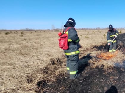 По юго-востоку области объявлена чрезвычайная пожарная опасность