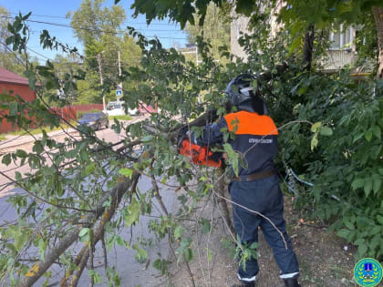 На севере Ульяновска рухнуло дерево и перегородило дорогу