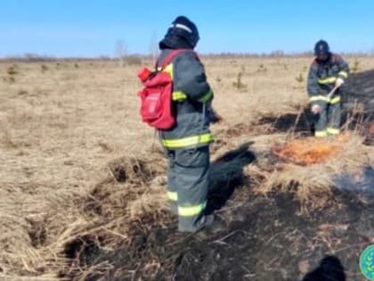 В ульяновских лесах сохраняется высокая пожарная опасность