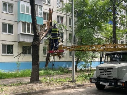 На Западном бульваре от удара молнии раскололось дерево