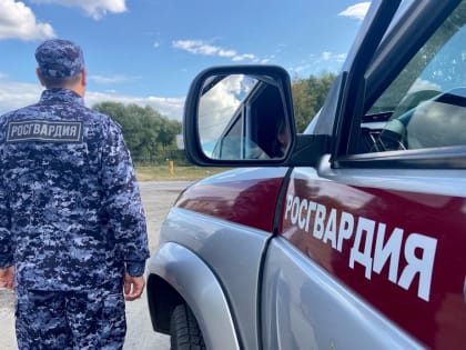 Ульяновец украл в гипермаркете пять пачек сливочного масла