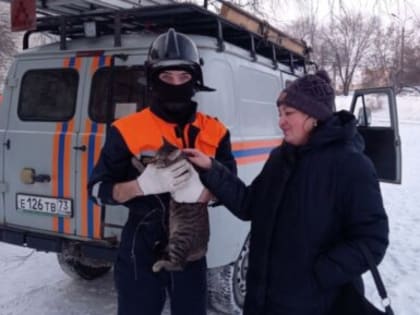 Ульяновские спасатели сняли с дерева испуганную кошку