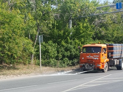 Из-за жары в Ульяновске усилен полив саженцев и дорожного полотна