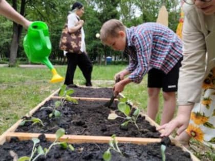 В проекте «Семейный огород» приняли участие 15 ульяновских семей