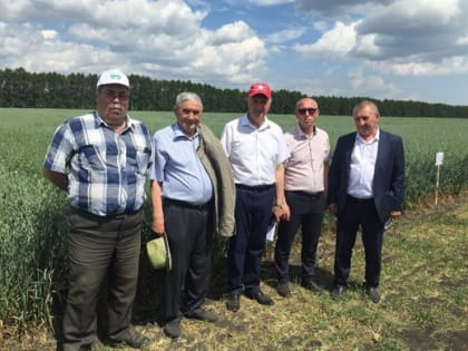 Для высоких урожаев. С какими достижениями аграриями идут в уборочную кампанию-2023