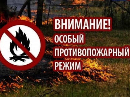 Бесплатное обучение предпринимательским навыкам запустят в регионах
