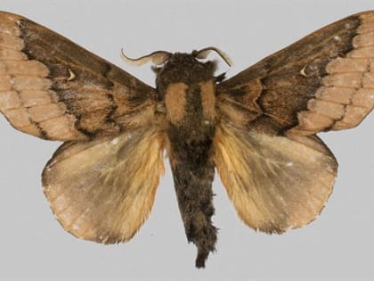 Какие исследования прямо сейчас ведут вузы Ульяновской области