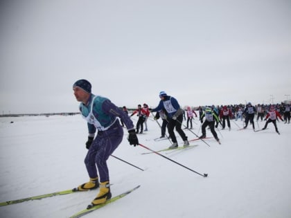 Ульяновцев ждут насыщенные спортивные выходные
