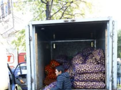 В Ульяновской области капуста и лук подешевели вдвое