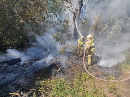 Пожарные напоминают об особой опасности тополиного пуха