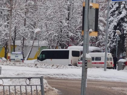 В Ульяновске пассажир ударил ножом водителя маршрутки — соцсети