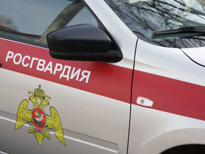 Ульяновские росгвардейцы задержали воришку дезодорантов