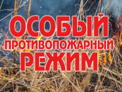 В лесах Ульяновской области вводится особый противопожарный режим