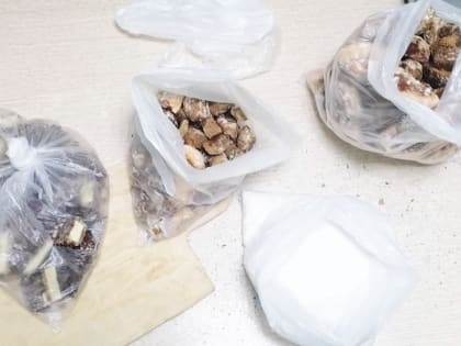 Сотрудники ИК-10 УФСИН России по Ульяновской области задержали гражданку с наркотическим веществом