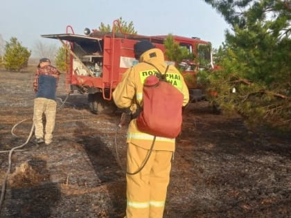 Мелекесскому лесу угрожала горящая трава