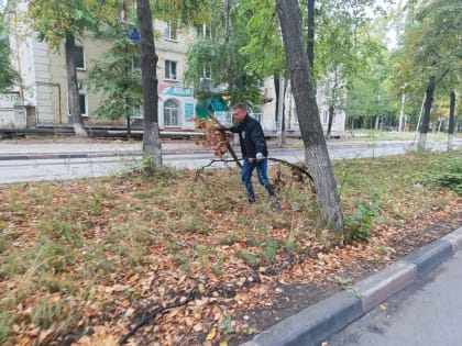 На субботнике в Ульяновске привели в порядок аллею на улице Богдана Хмельницкого