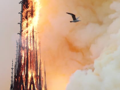 Почему так долго тушили собор Парижской Богоматери