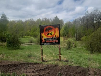 26 лесных пожаров ликвидировали в Ульяновской области