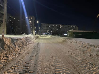 В Ульяновске при содействии депутатов УГД продолжаются работы по расчистке снега