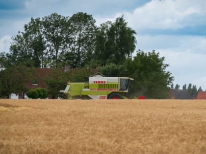 В Ульяновской области сельхозземли продают за 269 млн рублей