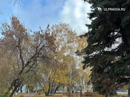 Сильный дождь, северный ветер. Какую погоду ждать ульяновцам в субботу