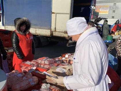 Ульяновские ветеринары проверили 13 тонн продуктов
