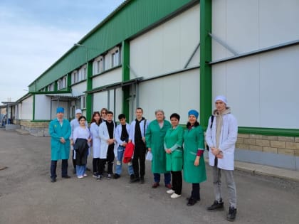 Теория + практика – это замечательно!