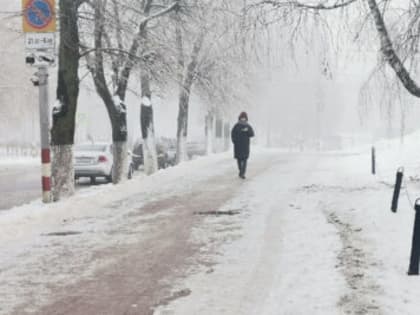 Синоптики предупреждают ульяновцев о перепадах температуры и мокром снеге