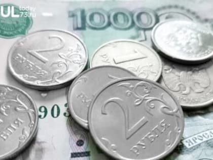 В Ульяновской области в первом полугодии 2023 года выявлен нелегальный кредитор