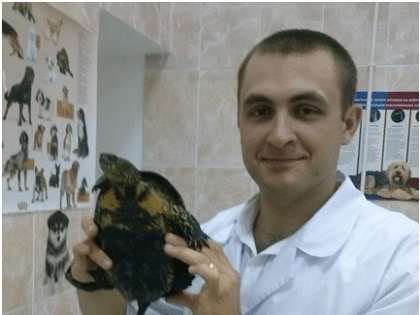 Ульяновские ветеринары объяснили ульяновцам, что делать с черепахами
