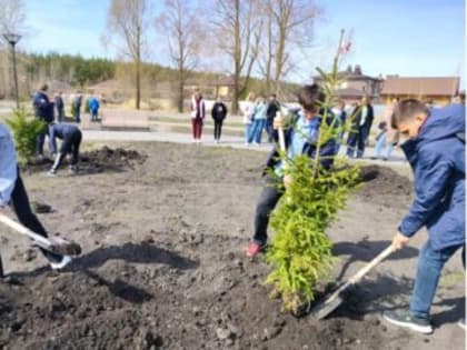 Осенью в Ульяновске высадят более 1600 деревьев и кустарников