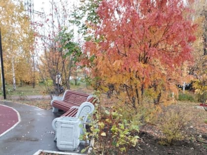 В сквере «Губернаторском» высадили саженцы 65 кустарников и 21 дерева