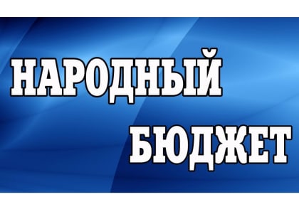 Ульяновцев приглашают к участию в опросе по проектам программы «Народный бюджет-2020»