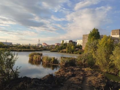 Граждане просят особую охрану