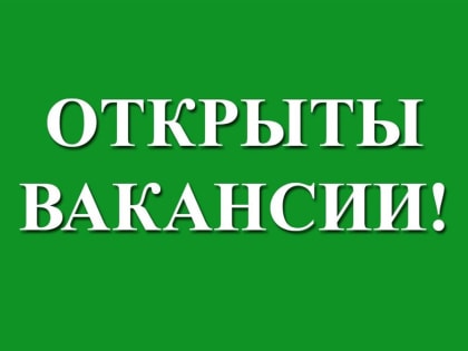 ТОП горячих вакансий: в Ульяновске предлагают зарплаты до 100000, а в селе Вишенка – 105560