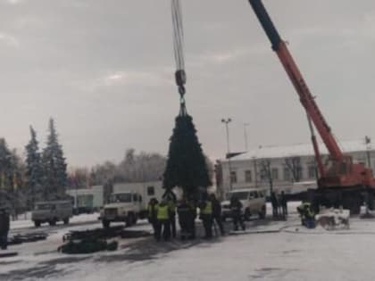 На главной площади Ульяновска начали собирать новогоднюю елку
