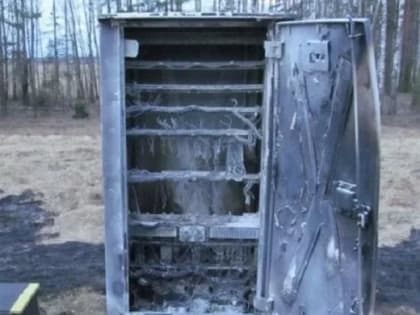 Ульяновским подросткам грозит десять лет за 15 тысяч рублей