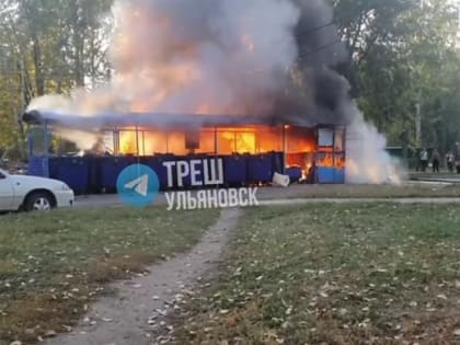 На улице Ефремова загорелась контейнерная площадка