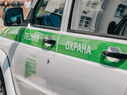 До 31 августа действует особый противопожарный режим.