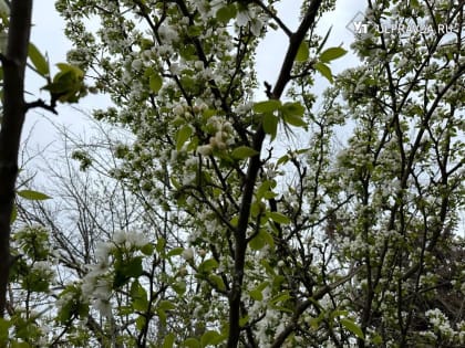 Сегодня в Ульяновской области ожидается до 28 градусов тепла