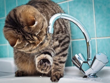 На улице Корунковой восемь домов остались без холодной воды