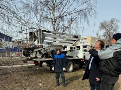 По обращениям жителей на улице Шоферов ведется обрезка 19 аварийных деревьев