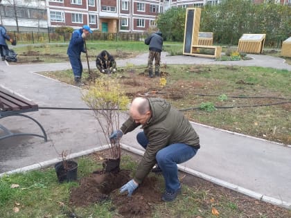 В сквере им. Академика Филатова будут высажены саженцы 105 кустарников и 24 деревьев