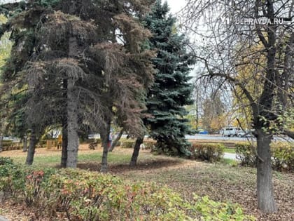 Сегодня в Ульяновской области прогнозируется небольшой дождь