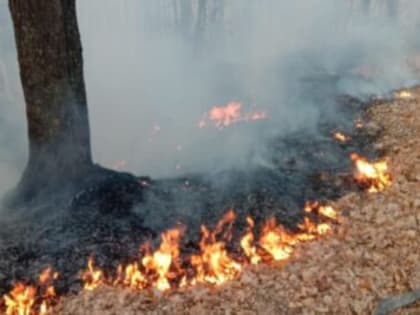 В Ульяновске объявлен «оранжевый» уровень опасности