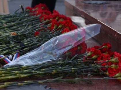 К 79-ой годовщине освобождения Ленинграда от блокады для ульяновцев проведут более 300 мероприятий