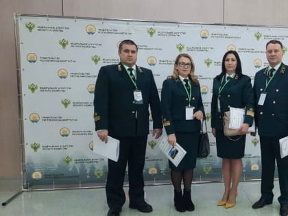 Ульяновская область — в зелёной зоне по ведению лесного хозяйства