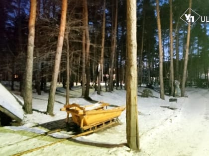 Юго-западный ветер принесет в Ульяновскую область мокрый снег и немножко тумана